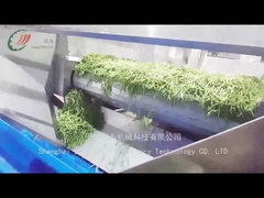 Comment la ligne de production de haricots en conserve produit-elle des haricots en conserve?