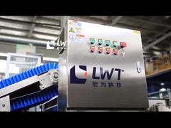 Laveuse à bulles de fruits et légumes