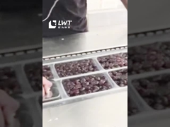 Ligne de production d'emballages de dattes machine automatique d'emballage sous vide à film étirable