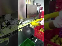 Ligne de production de fruits en conserve Leadworld Ligne de transformation de poires en conserve