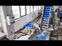Machine de découpage de la tête et de la queue pour la ligne de production de poissons en conserve