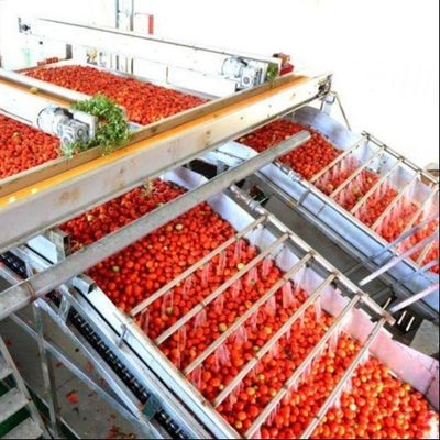 Ligne de production de conserves multifonctionnelles pour les tomates en conserve de Leadworld Industrial