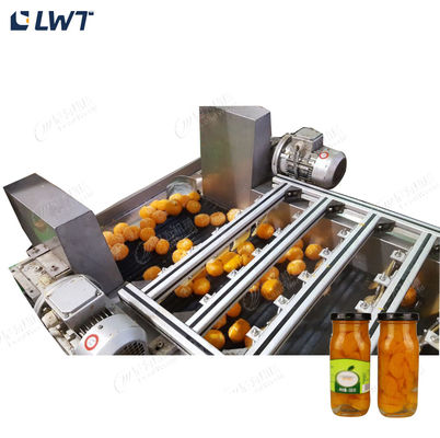 Ligne de production de fruits en conserve Leadworld Ligne de transformation d'orange en conserve